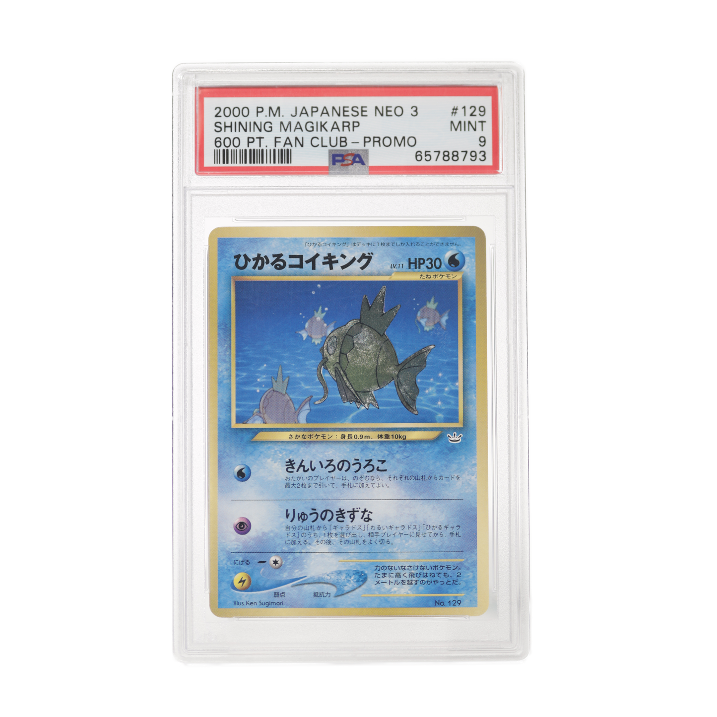 2000 Pokemon 600 Pt Fan Club Promo Shining Magikarp PSA 9 Japanese